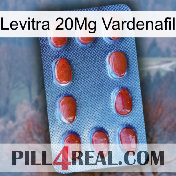 Levitra 20Mg Vardenafil 06.jpg